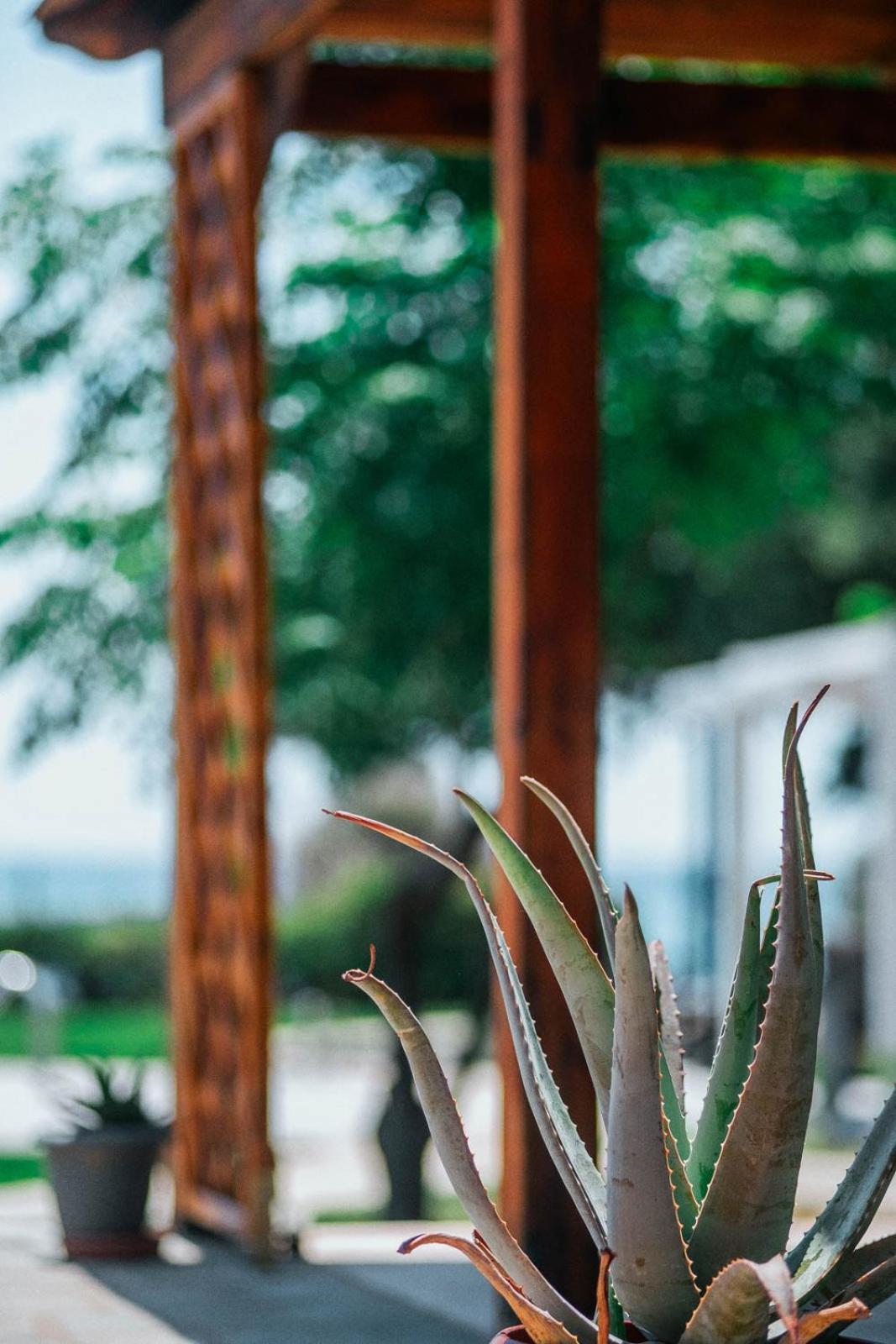 Villa Odyssea Dikella エクステリア 写真